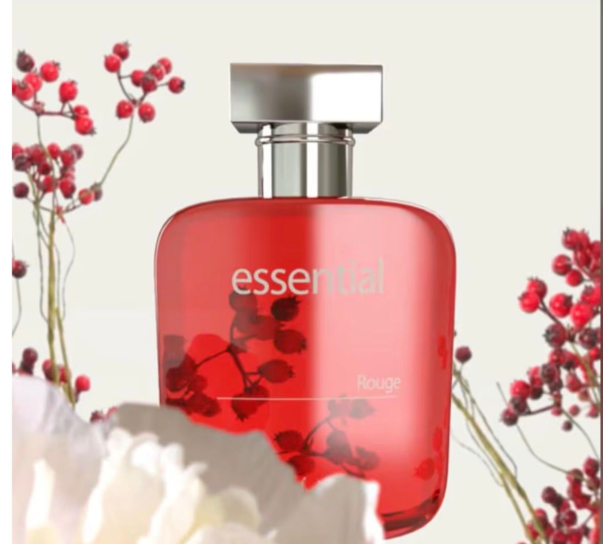 Shirley May Essential Rouge 100ml EDT Spray - Image 5